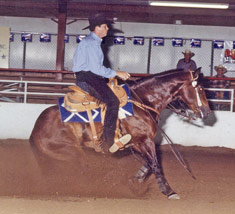 Showing a reining horse